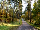Tn IMG 1632